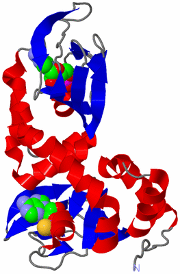 Image Asym./Biol. Unit