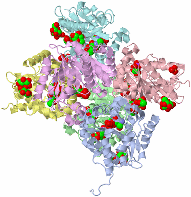 Image Asym./Biol. Unit