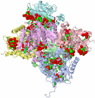 Image Asym./Biol. Unit - sites