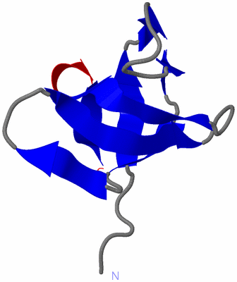 Image NMR Structure - model 1