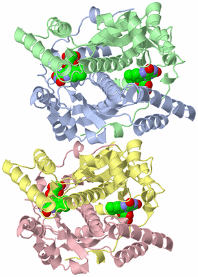 Image Asymmetric Unit