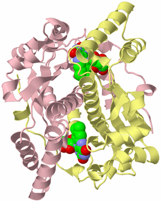 Image Biological Unit 2