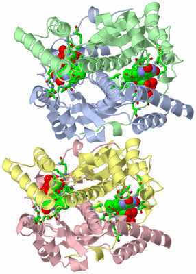 Image Asym. Unit - sites