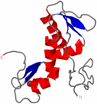 Image NMR Structure - model 1