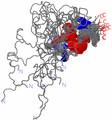 Image NMR Structure - all models