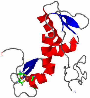 Image NMR Structure - model 1, sites