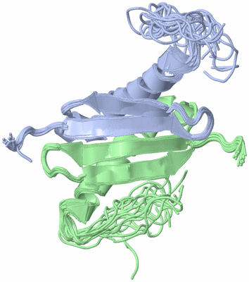 Image NMR Structure - all models