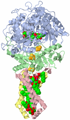 Image Biological Unit 1