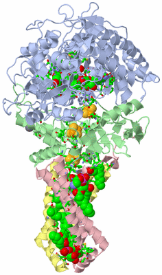 Image Biol. Unit 1 - sites