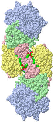 Image Biological Unit 3