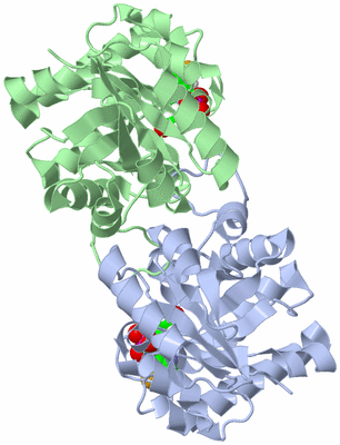 Image Asym./Biol. Unit