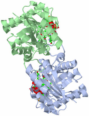 Image Asym./Biol. Unit - sites