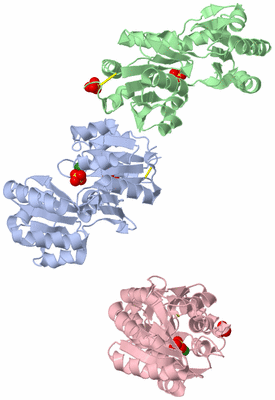 Image Asymmetric Unit