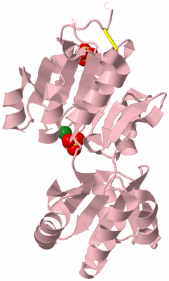 Image Biological Unit 3