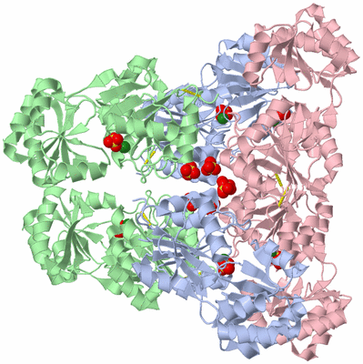 Image Biological Unit 4
