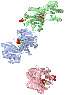 Image Asym. Unit - sites