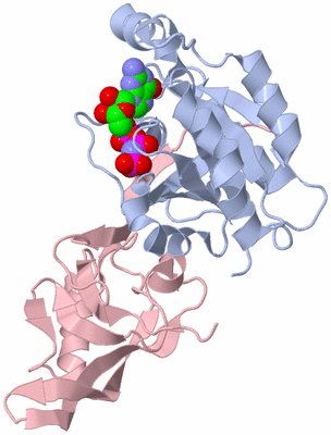 Image Biological Unit 1