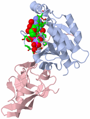 Image Biol. Unit 1 - sites