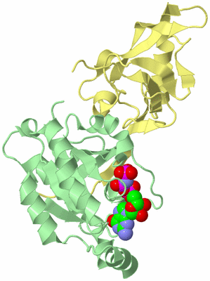 Image Biological Unit 2