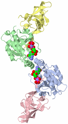 Image Biological Unit 3