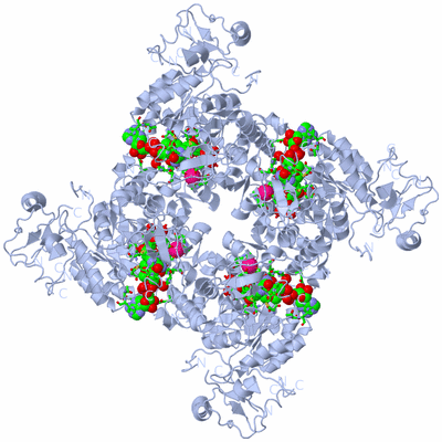 Image Biol. Unit 1 - sites