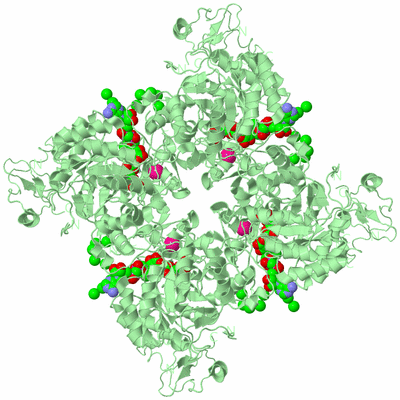 Image Biological Unit 2