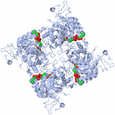 Image Biological Unit 1