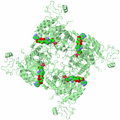 Image Biological Unit 2