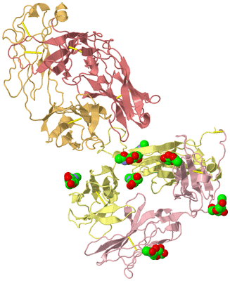 Image Biological Unit 1