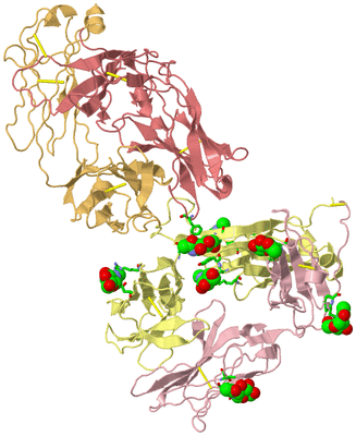 Image Biol. Unit 1 - sites