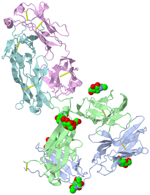 Image Biological Unit 2