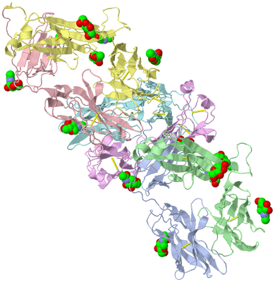 Image Biological Unit 3