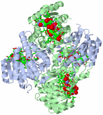 Image Biol. Unit 1 - sites