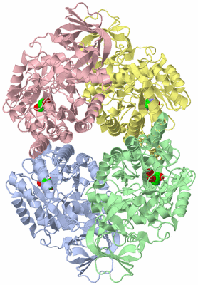 Image Asym./Biol. Unit