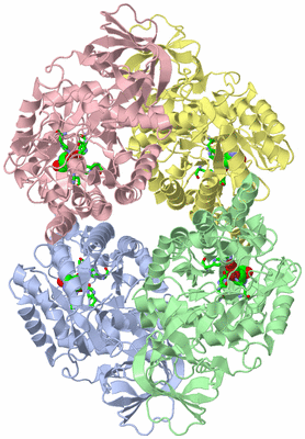 Image Asym./Biol. Unit - sites