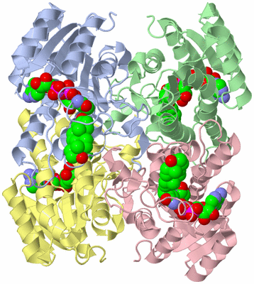 Image Asym./Biol. Unit