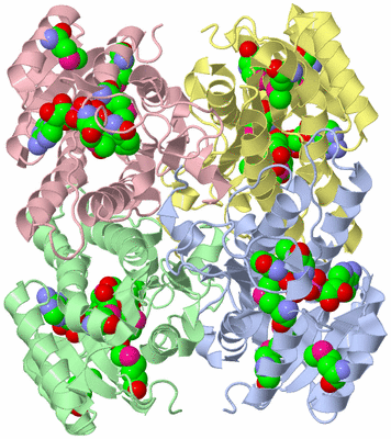 Image Asym./Biol. Unit