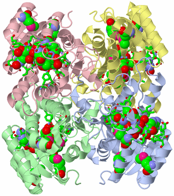 Image Asym./Biol. Unit - sites