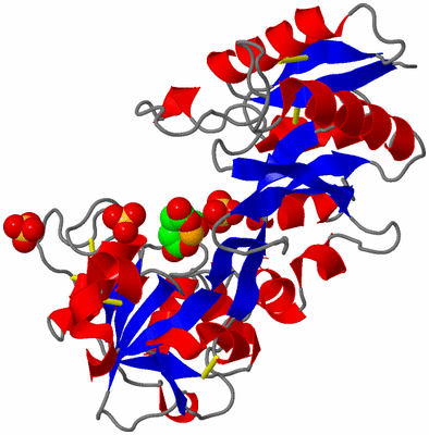 Image Asymmetric Unit