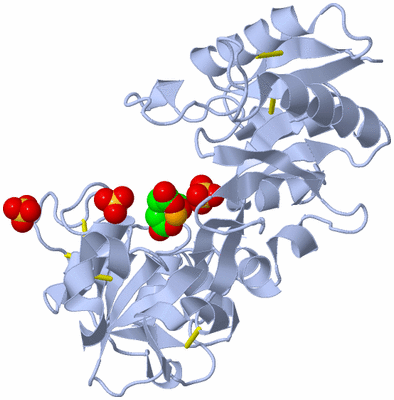 Image Biological Unit 1