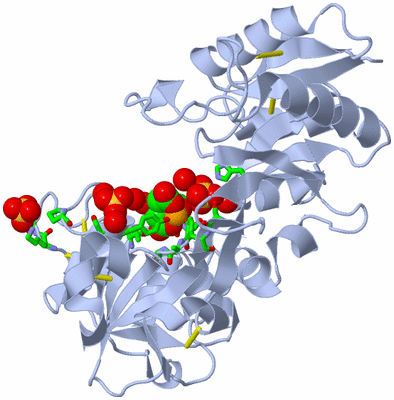 Image Biol. Unit 1 - sites