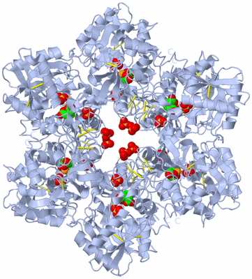 Image Biological Unit 2