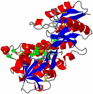 Image Asym. Unit - sites
