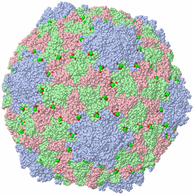 Image Biol. Unit 1 - sites