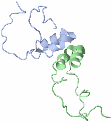 Image NMR Structure - model 1