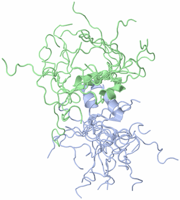 Image NMR Structure - all models