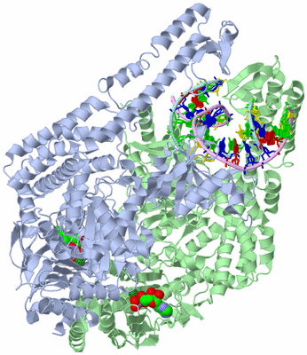 Image Asym./Biol. Unit