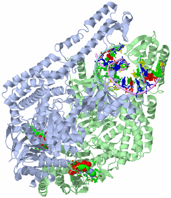 Image Asym./Biol. Unit - sites