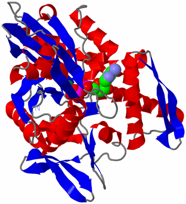 Image Asym./Biol. Unit