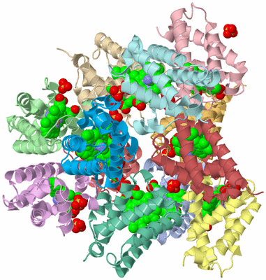 Image Asym./Biol. Unit